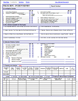 Police Incident Report Template from www.formdocs.com